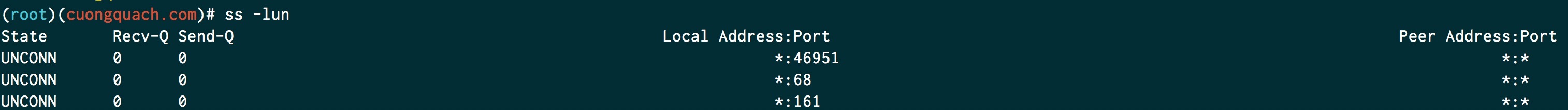 lệnh ss kiểm tra port đang mở trên linux
