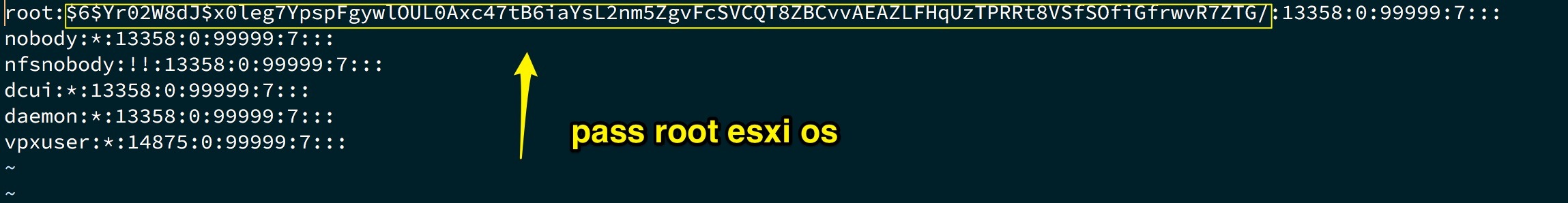 reset mật khẩu root trên esxi - 4