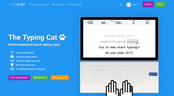 The Typing Cat